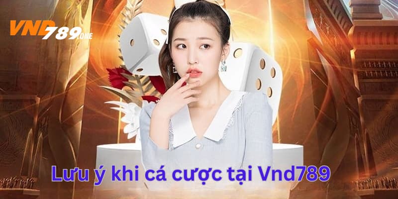 Một số lưu ý khi cá cược online tại Vnd789