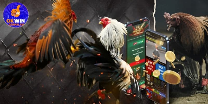 Tỷ lệ kèo cược cạnh tranh