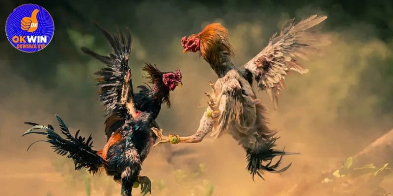 Chất lượng đồng đều trên mọi thiết bị