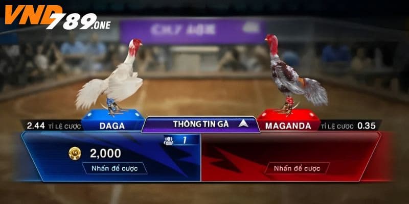 Đa dạng hình thức, từ truyền thống đến trận đấu ảo