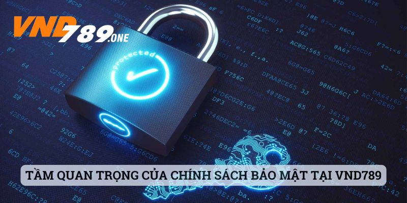 Tầm quan trọng của chính sách bảo mật tại VND789